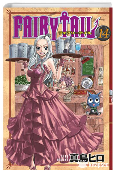 Fairy Tail 14. Cilt Gerekli Şeyler Yayıncılık
