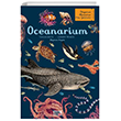 Oceanarium Megakids Yaynclk