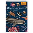 Oceanarium Megakids Yaynclk
