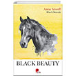 Black Beauty Peta Kitap
