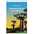 Madagaskarda Mavi Bir D Kayalpark ocuk