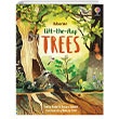 Lift-the-Flap Trees Usborne Publishing