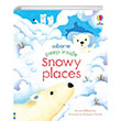 First Questions and Answers: Where Do Animals Go In Winter? Usborne