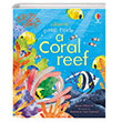 Peep inside a Coral Reef Usborne