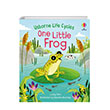 Life Cycles: One Little Frog Usborne Publishing