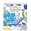 Are you there little Owl? Usborne