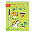 Early Years Wipe-Clean Big Letters Usborne