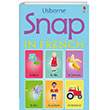 Snap Cards: Snap in French Usborne