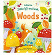 Little Lift and Look: Woods Usborne Publishing