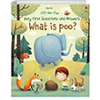 Lift-The-Flap Very First Questions and Answers: What is Poo? Usborne