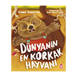 Dnyann En Korkak Hayvan Tima Yaynlar