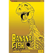 Banana Fish, Vol. 15 Viz Media