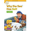 Why the Sea Has Salt +Hybrid CD eCR Level 1