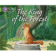 The King of the Forest (Big Cat-5 Green) HarperCollins