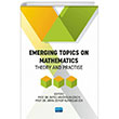 Emergins Topics On Mathematics Theory and Practise Nobel Akademik Yaynclk