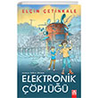 Elektronik pl Altn Kitaplar