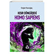 Ksr Dngde Homo Sapiens Alan Yaynclk