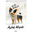 Aylak Kpek Alfa Yaynlar