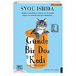 Gnde Bir Doz Kedi Athica Yaynlar