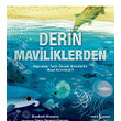 Derin Maviliklerden  Bankas Kltr Yaynlar