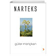 Narteks Cinius Yaynlar