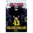 Bleach 43. Cilt Gerekli eyler