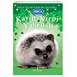 Kayp Kirpi Yavrusu  Bankas Kltr Yaynlar