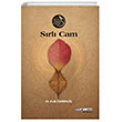 Srl Cam Atlas Akademi