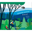Kendini Arayan Bulut Okuyan Koala