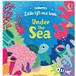 Little Lift and Look Under the Sea Usborne
