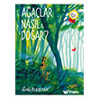 A�a�lar Nas�l Do�ar? Domingo Yay�nevi