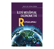 �leri Mekansal Ekonometri Nobel Akademik Yay�nc�l�k