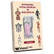 Osteopatide Fasyal Zincirler ve Ba�lant�lar  Hipokrat Kitabevi