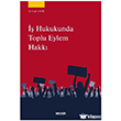�� Hukukunda Toplu Eylem Hakk� Se�kin Yay�nlar�
