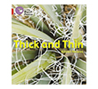 Collins Big Cat Phonics - Thick and Thin Band 02B - Red B HarperCollins