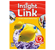 Insight Link Starter L3  Build and Grow Publishing