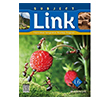 Subject Link L6 Build and Grow Publishing