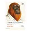 Appius ve Virginia Everest Yay�nlar�