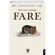 Fare Dorlion Yay�nlar�