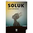 Soluk Dorlion Yay�nlar�