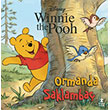 Disney Winnie The Pooh Ormanda Saklamba� Do�an �ocuk