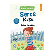 Okumak �ok Kolay Serisi 1.S�n�f:Ser�e Ku�u Mavi Kirpi Yay�nlar�