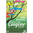 �ingene Mektup Yay�nlar�
