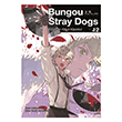 Bungou Stray Dogs 12.Cilt Gerekli �eyler