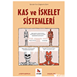 Kas ve �skelet Sistemleri - Gen�ler ��in �izgilerle Bilim Almidilli