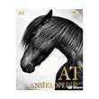 At Ansiklopedisi Alfa Yay�nlar�