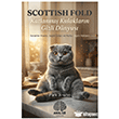 Scottish Fold Ak�l �zi Yay�nlar�