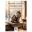 Maine Coon: Evdeki Dev Ak�l �zi Yay�nlar�