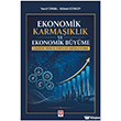 Ekonomik Karma��kl�k ve Ekonomik B�y�me Ekin Bas�m Yay�n