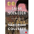 �afak S�kmeden K�rm�z� Kedi Yay�nevi